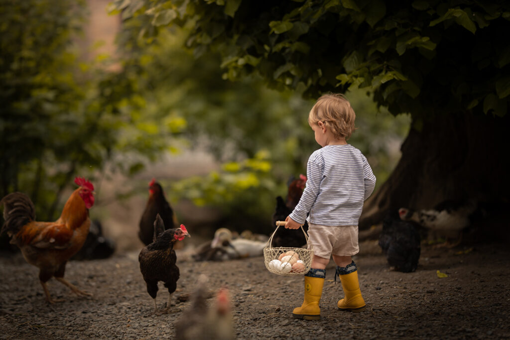 Bauernhof Fotoshooting kleiner jung hält Eierkörbchen bei den Hühnern
